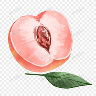 WWW,599se·COM网站APPAPP应用